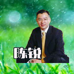 陈锐